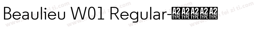 Beaulieu W01 Regular字体转换